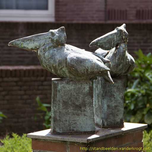 Leiden -  Pelikanen