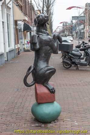 Leidschendam -  Damhonden