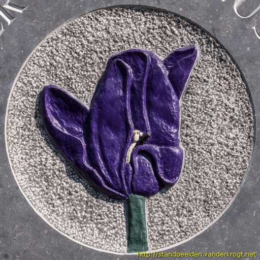 Lisse -  Tulp