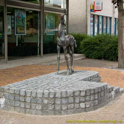 Maassluis -  Veulen