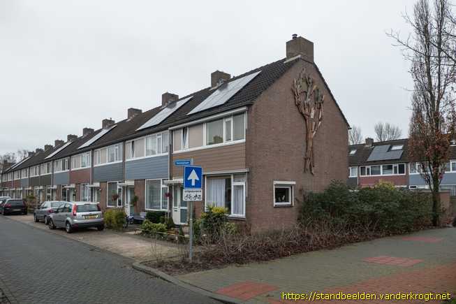 Pijnacker -  Beuk, Esdoorn en Kastanje
