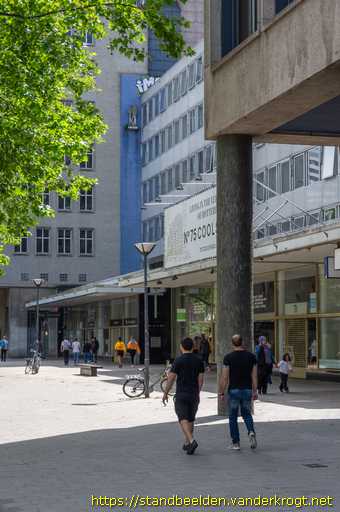 Rotterdam -  Boomplanter