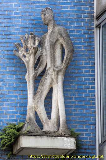 Rotterdam -  Boomplanter