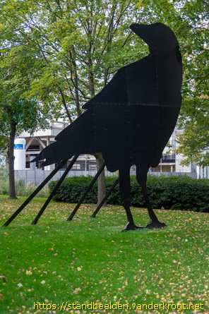 Rotterdam - Zwarte Kraai