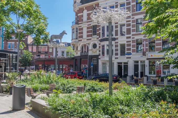 Rotterdam -  Zebra in de nesten