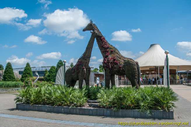Rotterdam -  Giraffen