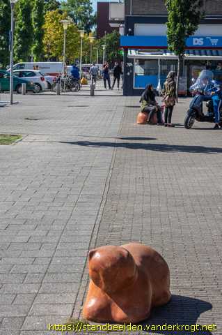 Rotterdam - Schildpad, kip en katten