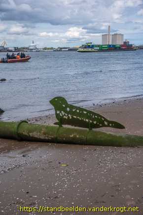 Rotterdam Heijplaat -  Zeehond