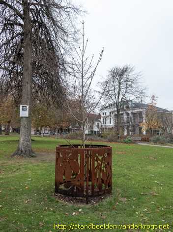 Schiedam -  Boombeschermer Anne Frankboom