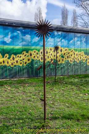 Schiedam - Zonnebloemen