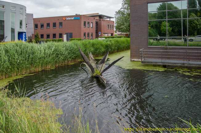 Spijkenisse -  Waterplant