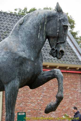 Voorschoten -  Paard