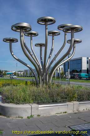 Poeldijk - Zonneboom