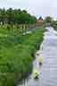 Het geel van de keizer