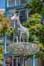 Zebra in de nesten
