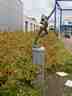 Handbalster