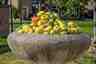 Fruitschaal