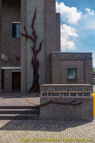 Emmeloord - Ook de boom groeit naar het licht