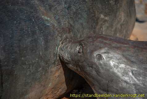Buren - Zeehond met jong