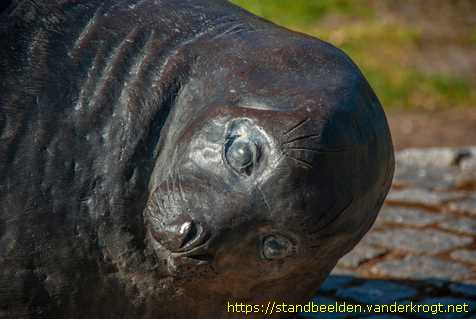 Buren - Zeehond met jong