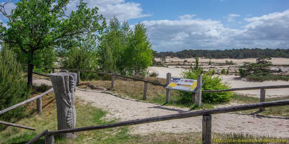 Hulshorst - Mierenleeuw