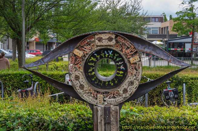 Dieren - Oog