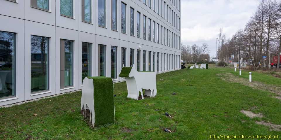 Wageningen - Koeien