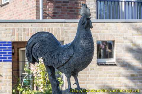 Haps - Haan, kippen en kuikens