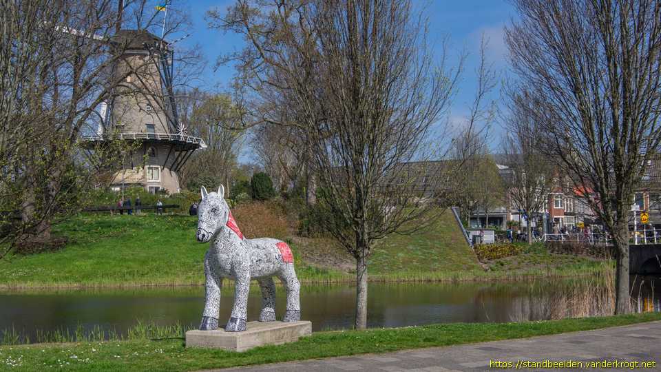 Alkmaar - Klein Geheugen van Alkmaar, roepnaam: Adam