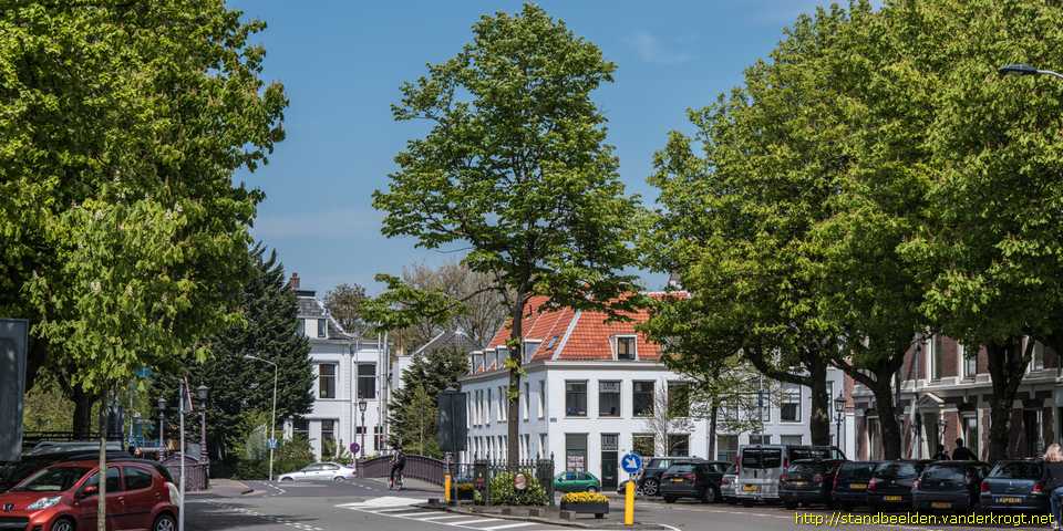 Haarlem - Wilhelminaboom