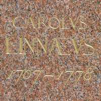 Heemstede - Carolus Linnaeus