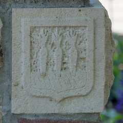 Zwaagdijk-Oost - Vis