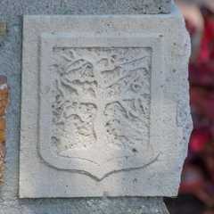 Zwaagdijk-Oost - Vis
