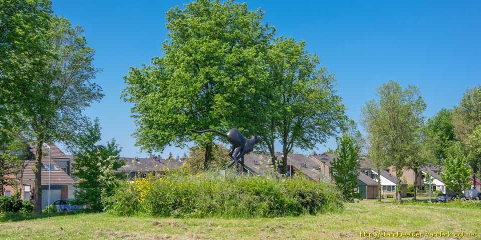 Grootebroek - Cheeta in volle ren