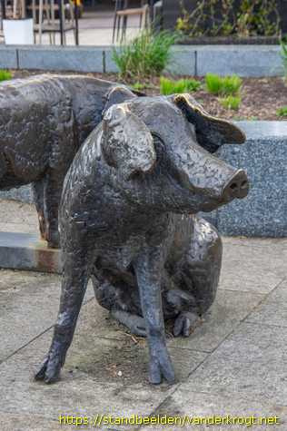 Holten - Varkens