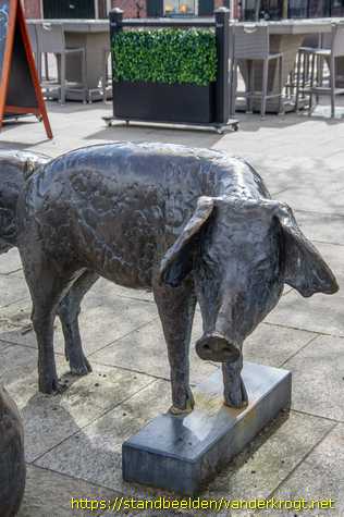 Holten - Varkens