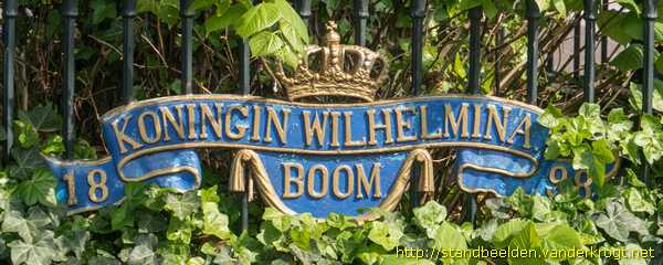 Rijssen - Wilhelminaboom