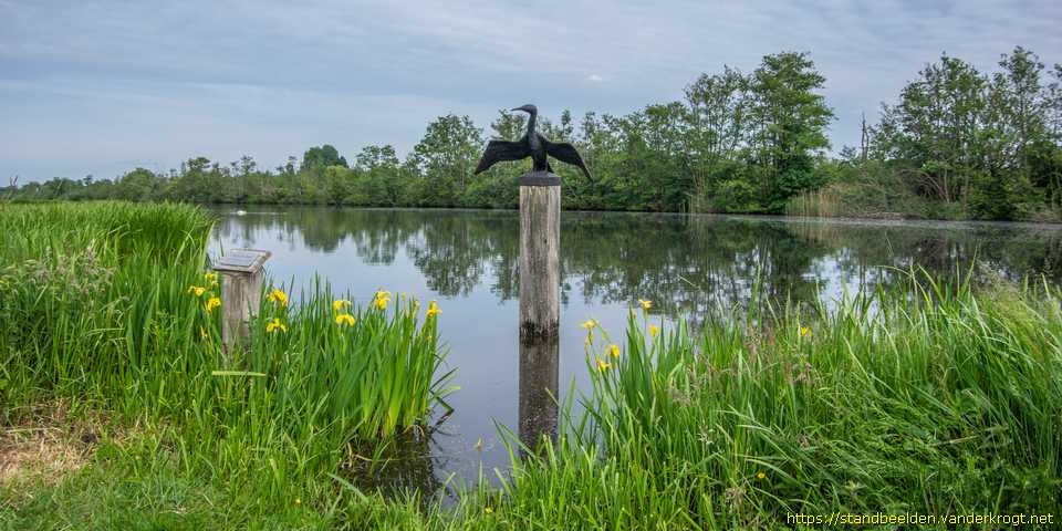 Tienhoven - Aalscholver