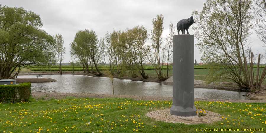 Lewedorp - Jong schaap en de verwondering...