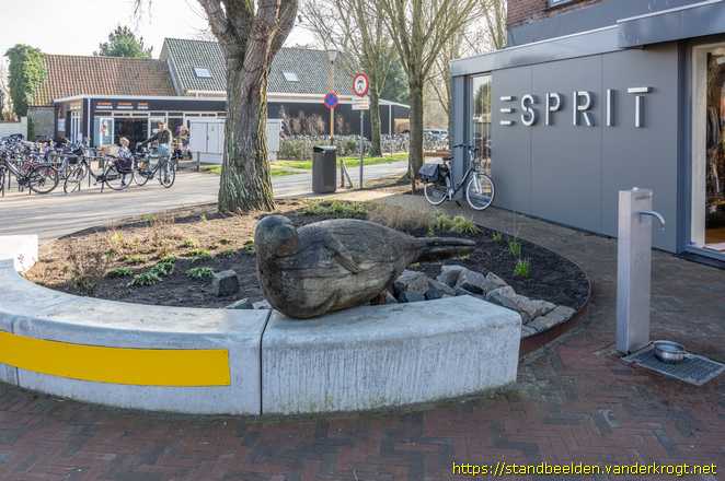Renesse - Zeehonden