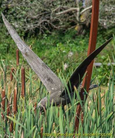 Berkenwoude - Zwarte Sterns