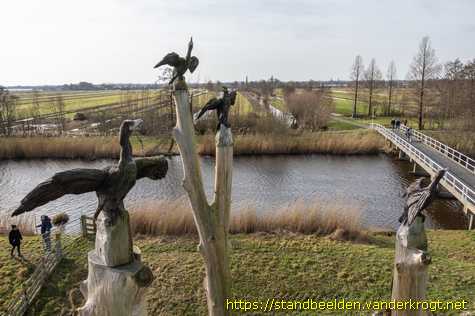 Driebruggen - Aalscholvers