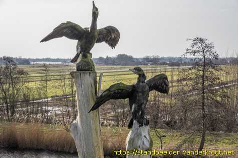Driebruggen - Aalscholvers