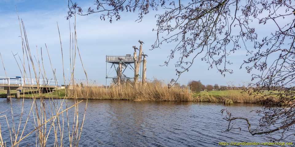 Driebruggen - Aalscholvers