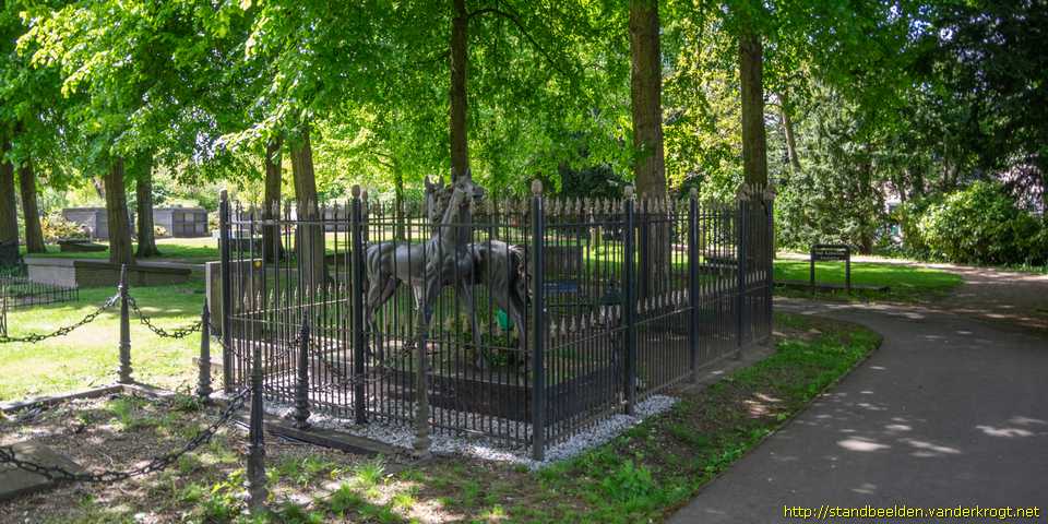 Dordrecht - De paarden van Harrie Hartogs