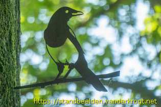 Giessenburg - Vogelsilhouetten