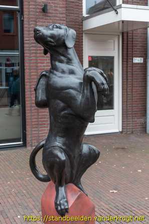 Leidschendam - Damhonden