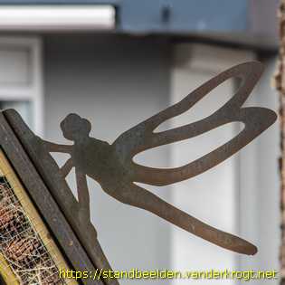Noordwijkerhout - Hotallo Insecta