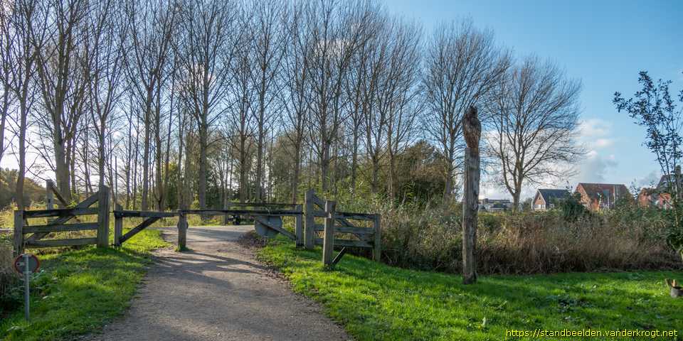 Delfgauw - Wijze uil