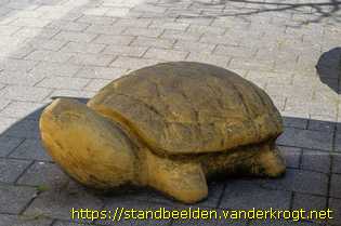 Rotterdam - Schildpad, kip en katten
